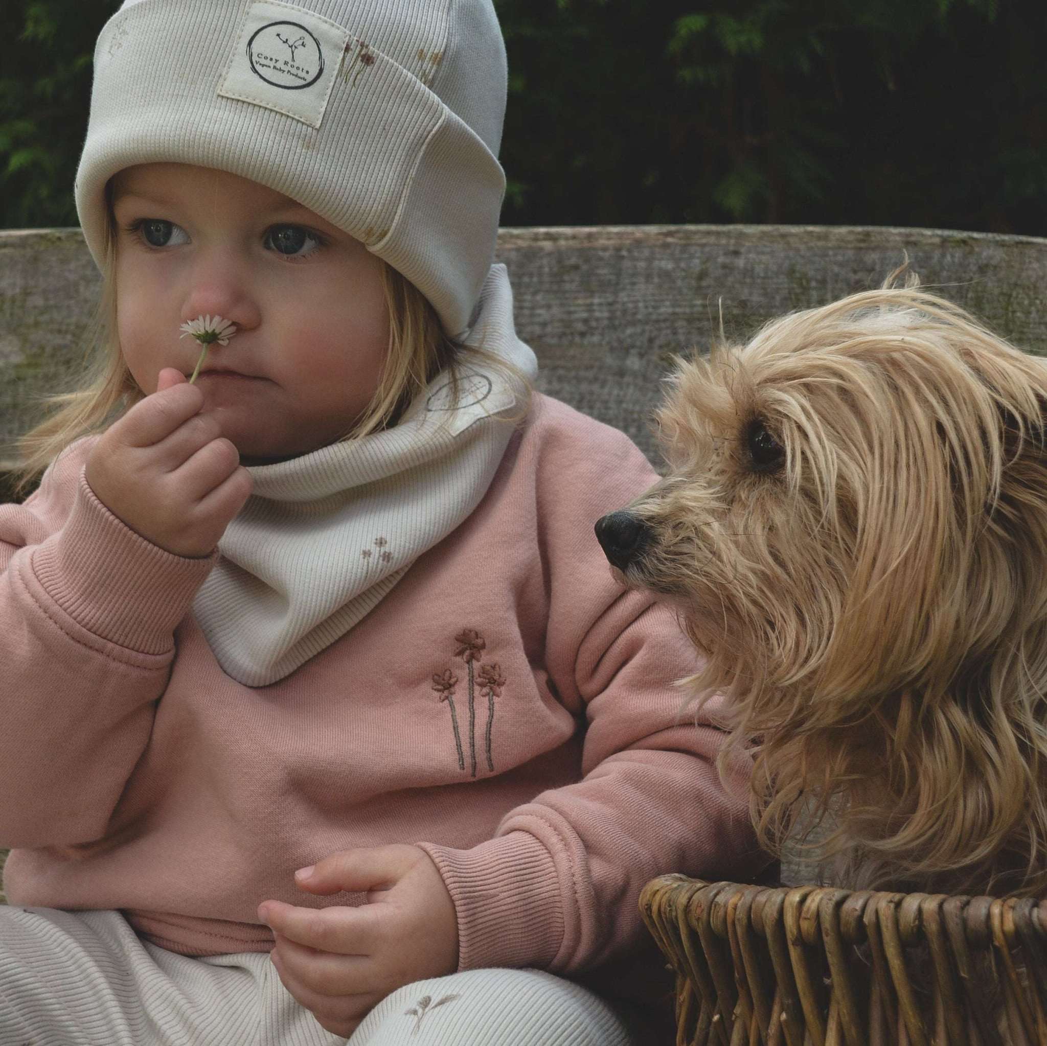 Family Sweatshirt - Dusty Rose - Image 19