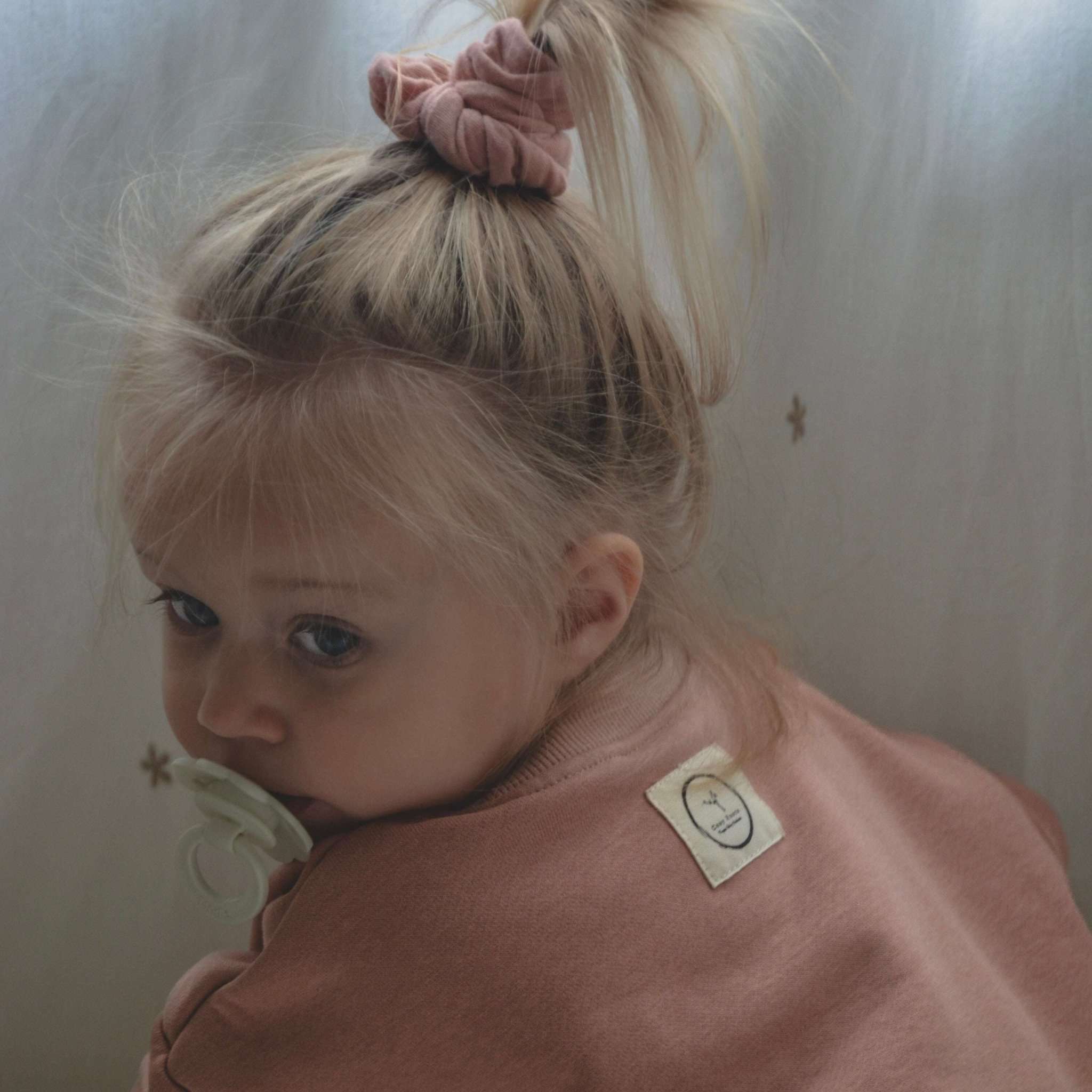 Family Sweatshirt - Dusty Rose - Image 5