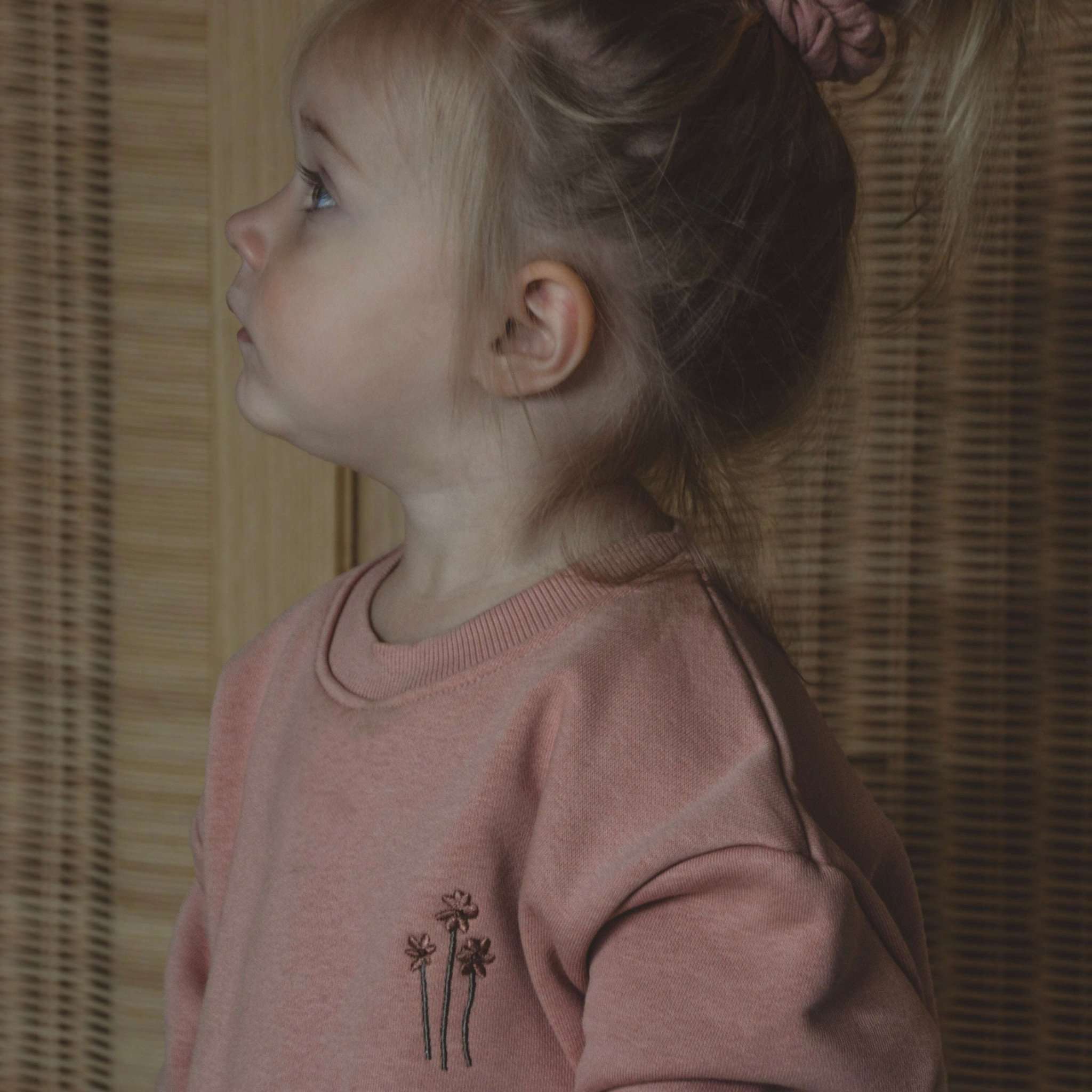 Family Sweatshirt - Dusty Rose - Image 8