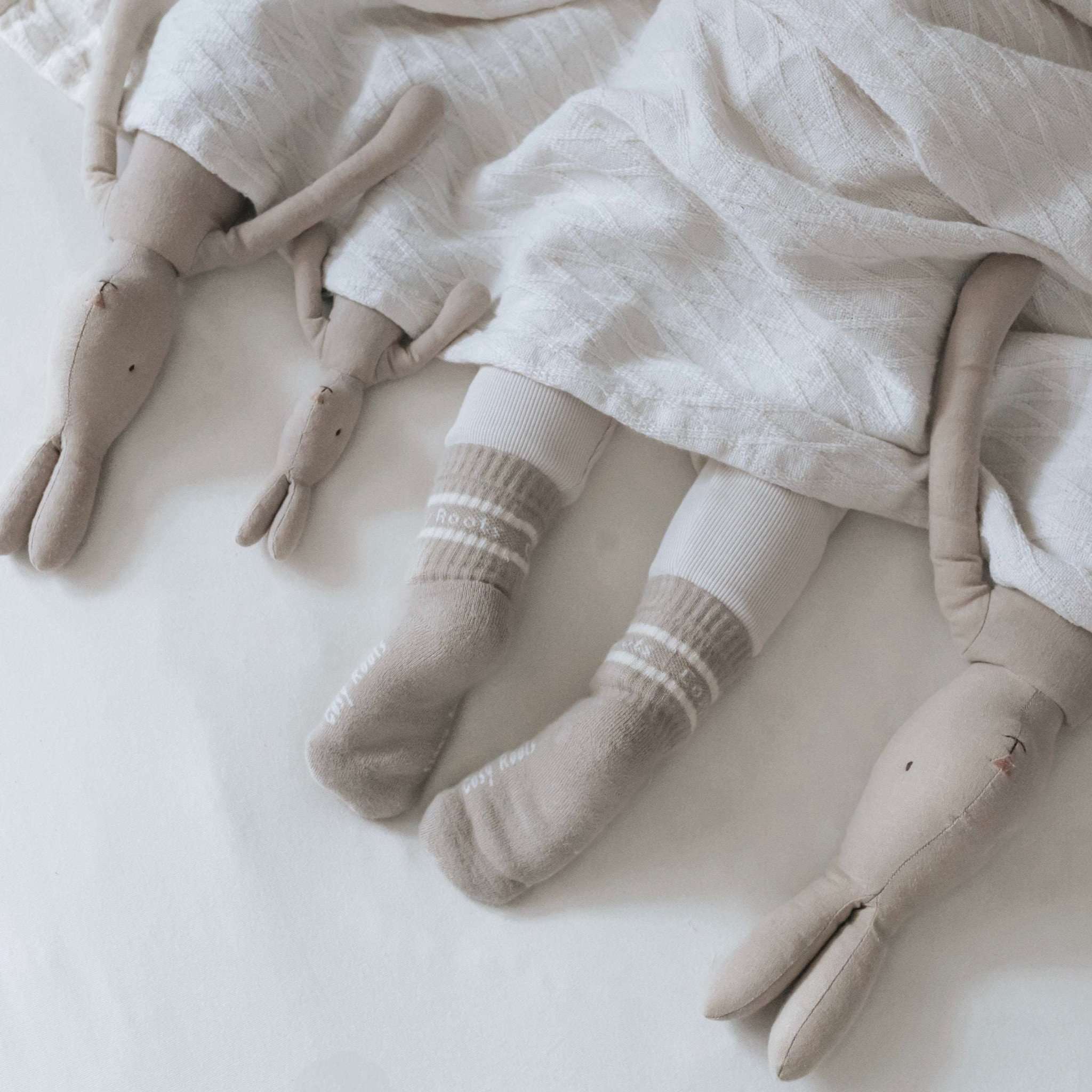 Organic Socks - Caramel - Image 7