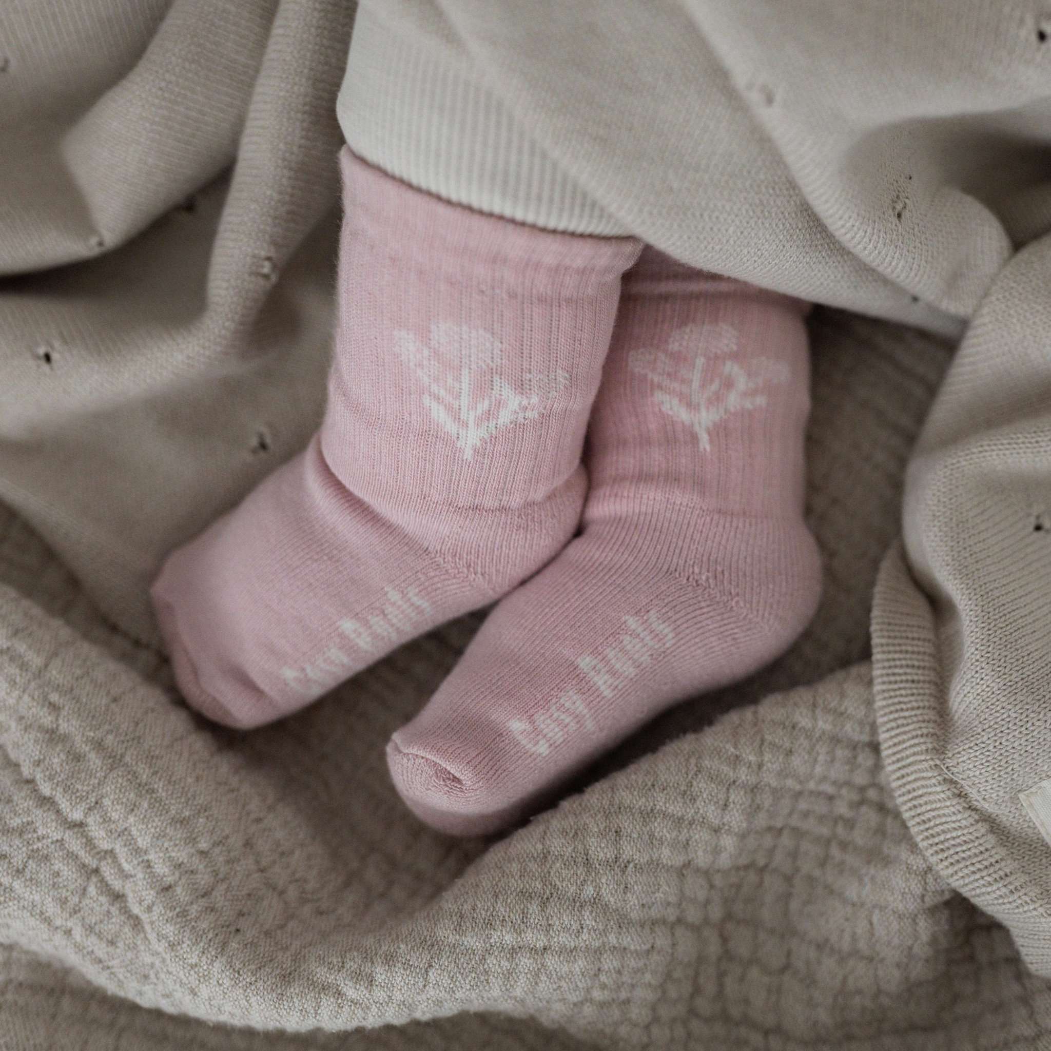 Organic Socks - Rose - Image 4